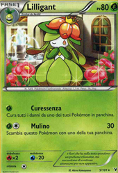 Hobby&Golf - POKEMON Carte singole Nero e Bianco Vittorie Regali Rare